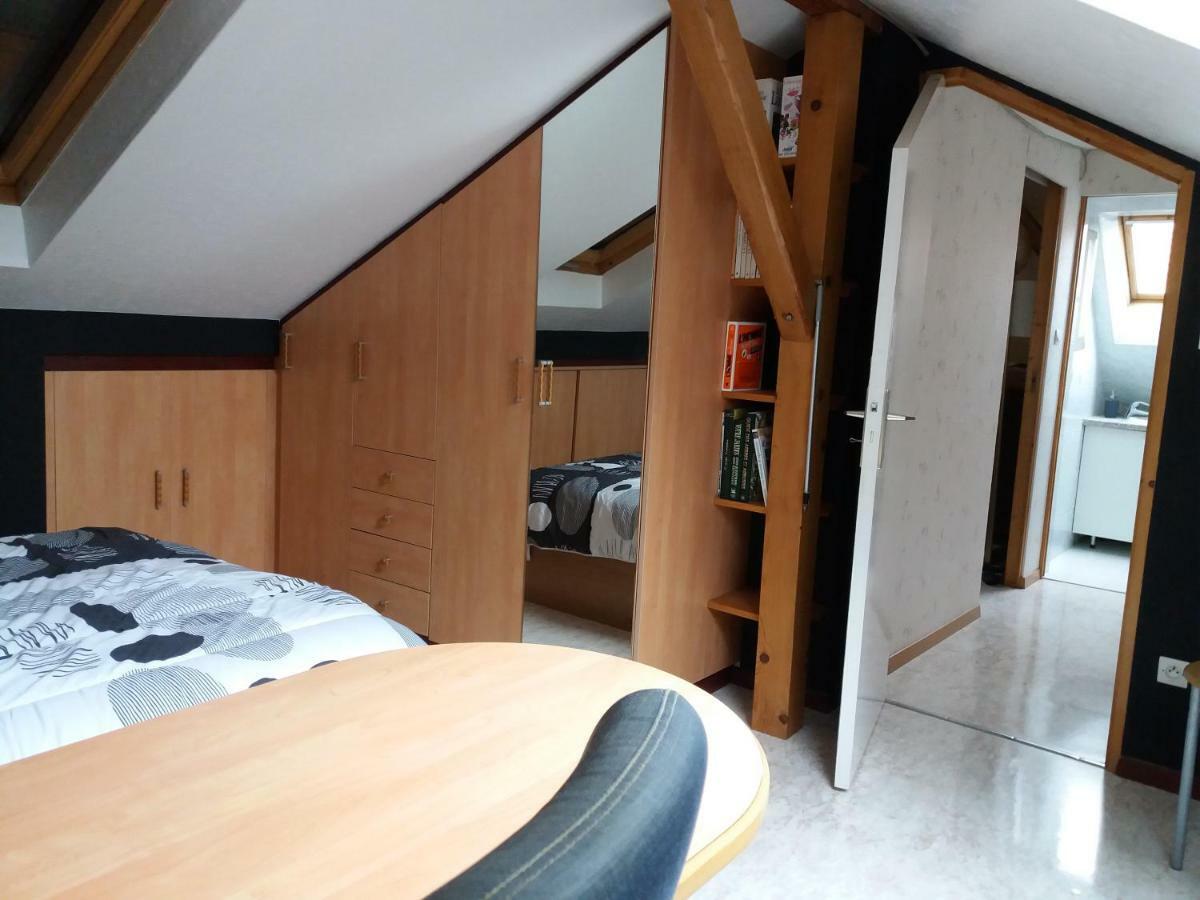 Logis 18 Rose Apartment Strasbourg Exterior foto